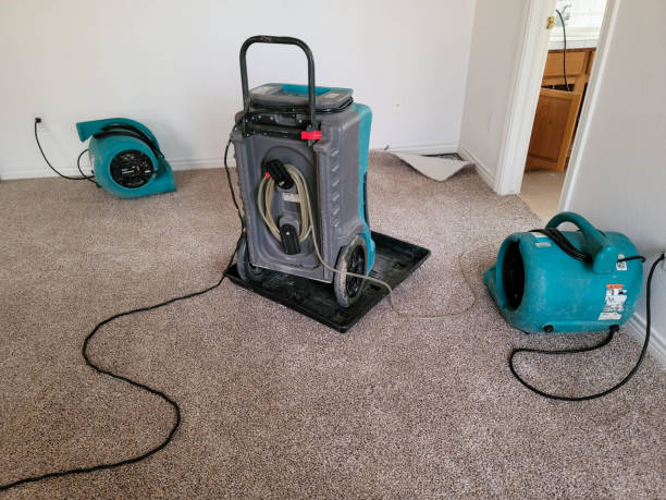 Best Commercial water damage restoration  in Alice, TX