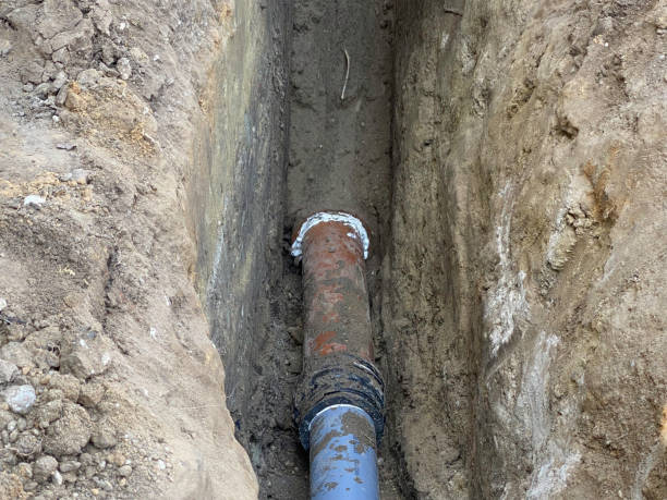 Best Basement water damage restoration  in Alice, TX