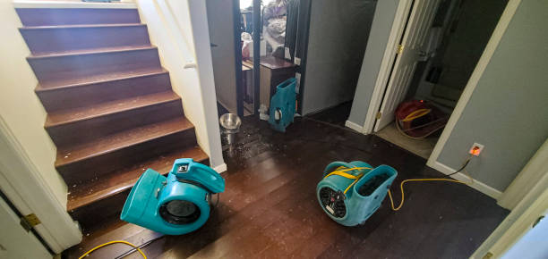 Best Water damage restoration process  in Alice, TX