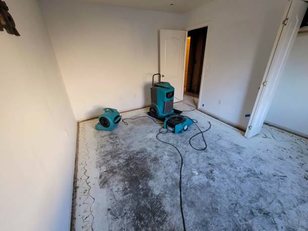 Best Water damage contractors near me  in Alice, TX