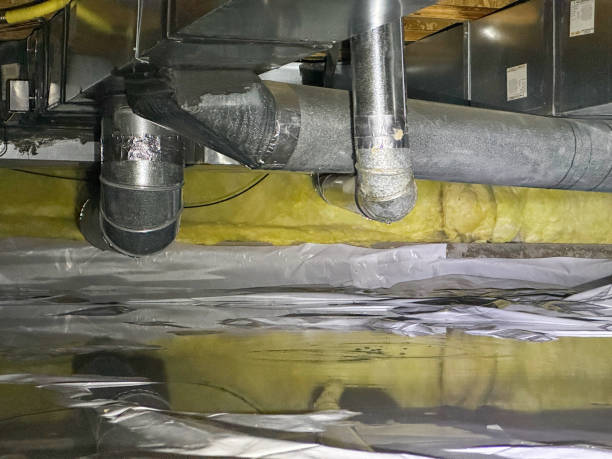 Best Flood damage cleanup  in Alice, TX