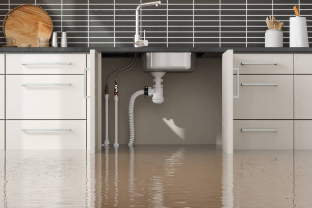 Best Fire Damage Restoration  in Alice, TX