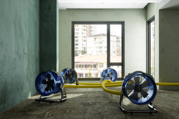 Best Flood restoration services  in Alice, TX